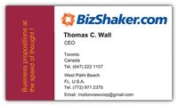Bizshaker logo