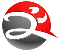 RaceLifestyle logo