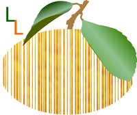 Phashtag logo