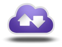 platform:purple logo