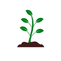 Buy From Farm logo