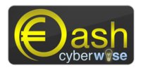 Cyberwise logo