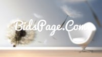 BidsPage logo