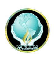 World Energy Asset Management logo