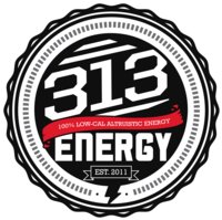 313Energy logo