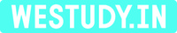 WeStudyIn logo