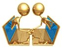 Socius logo
