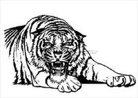 Tiger Property Investments logo