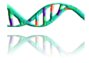 Double Helix logo