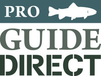 Pro Guide Direct logo