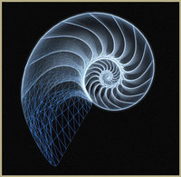 Nautilus Capital Hong Kong logo