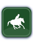 Horsial logo