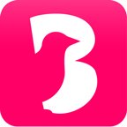 Birdhouse for Autism logo