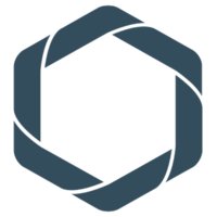 Record Evolution logo