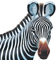 Project Zebra logo