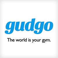 Gudgo logo