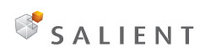 Salient Business Intelligence Inc. logo