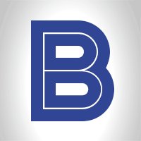 BauBid.com logo