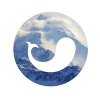 WhaleSlide logo