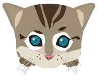 Poppup logo