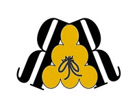Radical Recliners logo