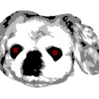 Team Bunker logo