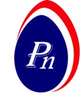 Progress, Inc. logo