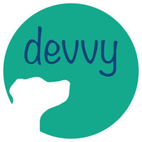 Devvy logo