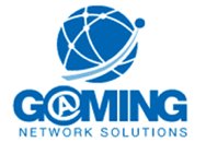 Gaming Network Solutions logo