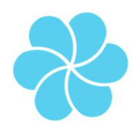 Blossom Finance logo