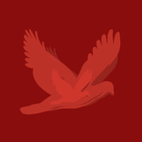 iVlog™ logo