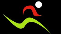 nickvopsteele (NVS) logo