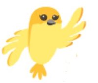 Canary logo