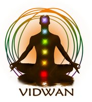 Vidwan Marketing logo
