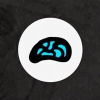 About my Brain Institute logo
