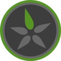 Seed Staffing logo