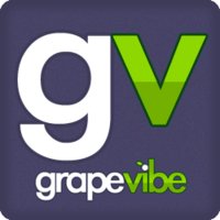 GrapeVibe logo