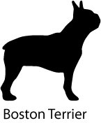 The Fly Dog logo