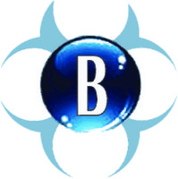 BlueOctopusQR logo