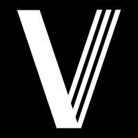 Fly victor logo