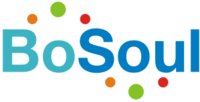 BoSoul Inc. logo