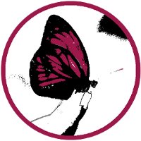 Perius Consulting logo