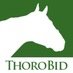 ThoroBid, LLC logo