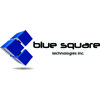 Blue Square Technologies -  digital media displays