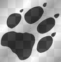 Wolfpack (Still in Beta) logo