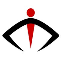 Anionu logo