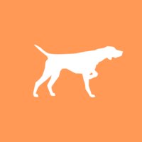 Birddog logo