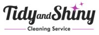 Tidy and Shiny Limited logo