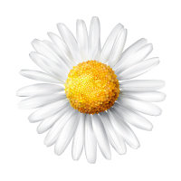 Youlo.gy logo