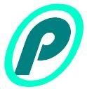Punctil Health logo